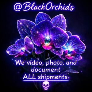 โWE VIDEO, PHOTO & DOCUMENT ALL SHIPMENTSโ ๐ธ ๐ฅ